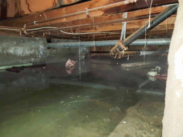 Best Water damage contractors near me  in Emmon, AK