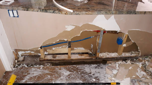 Best Flood restoration services  in Emmon, AK