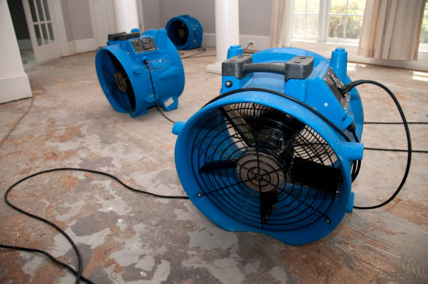 Best Flood damage cleanup  in Emmon, AK