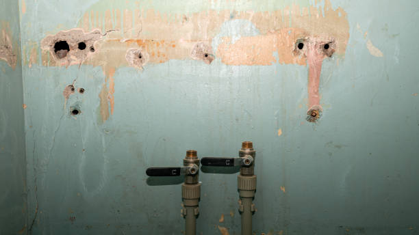 Professional Water damage restoration in Emmonak, AK