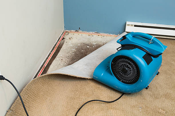  Emmon, AK Water damage restoration Pros